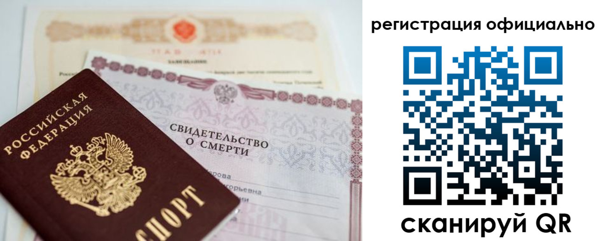 прописка 2025 в Электрогорске